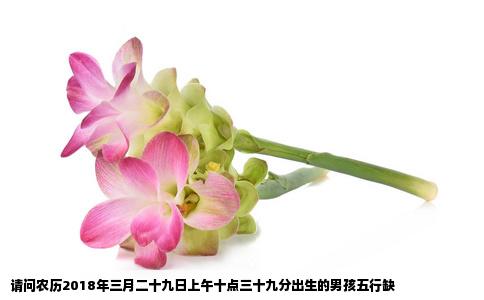 请问农历2018年三月二十九日上午十点三十九分出生的男孩五行缺