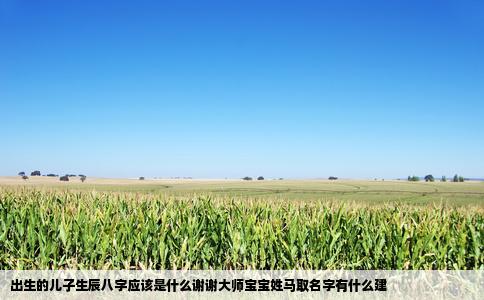 出生的儿子生辰八字应该是什么谢谢大师宝宝姓马取名字有什么建