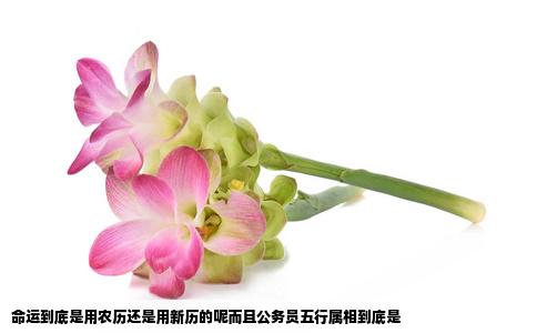 命运到底是用农历还是用新历的呢而且公务员五行属相到底是