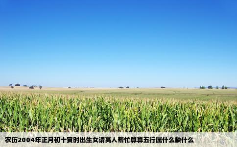 农历2004年正月初十寅时出生女请高人帮忙算算五行属什么缺什么