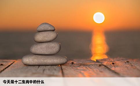 今天是十二生肖中的什么