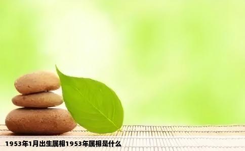1953年1月出生属相1953年属相是什么