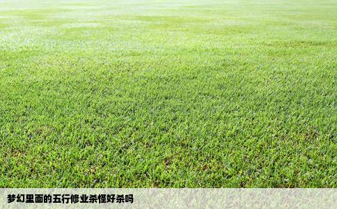 梦幻里面的五行修业杀怪好杀吗