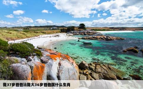 我37岁爸爸比我大36岁爸爸属什么生肖