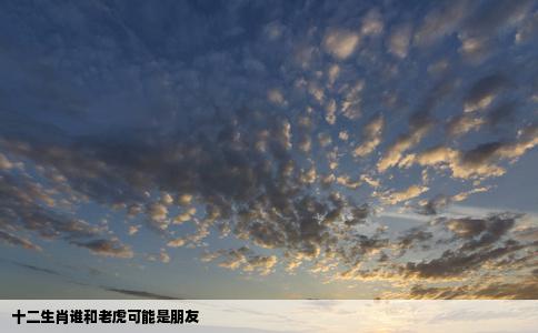 十二生肖谁和老虎可能是朋友