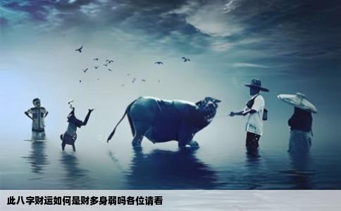 此八字财运如何是财多身弱吗各位请看