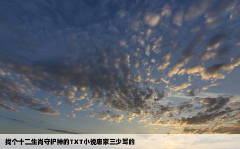 找个十二生肖守护神的TXT小说唐家三少写的