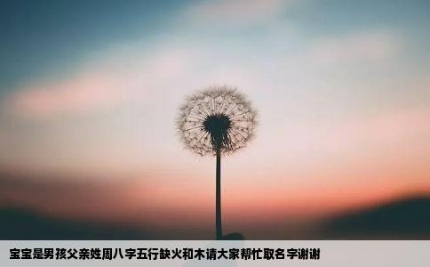 宝宝是男孩父亲姓周八字五行缺火和木请大家帮忙取名字谢谢