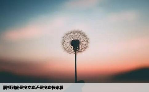 属相到底是按立春还是按春节来算