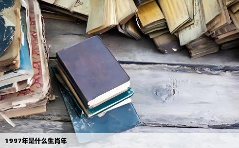 1997年是什么生肖年