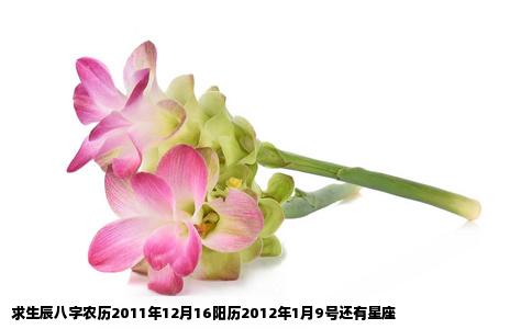 求生辰八字农历2011年12月16阳历2012年1月9号还有星座