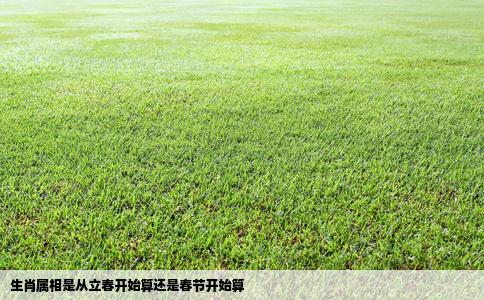 生肖属相是从立春开始算还是春节开始算