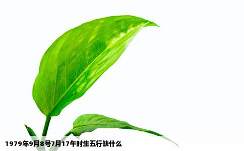 1979年9月8号7月17午时生五行缺什么