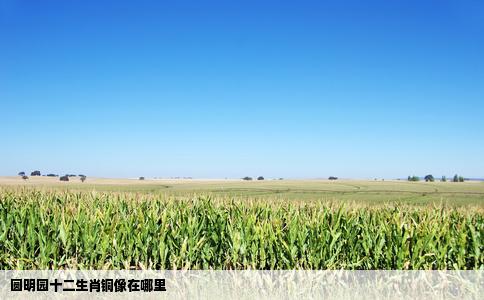 圆明园十二生肖铜像在哪里