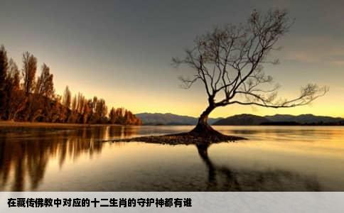 在藏传佛教中对应的十二生肖的守护神都有谁