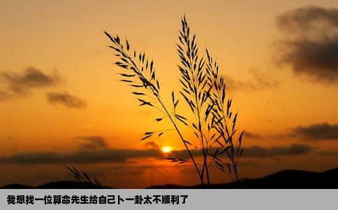 我想找一位算命先生给自己卜一卦太不顺利了