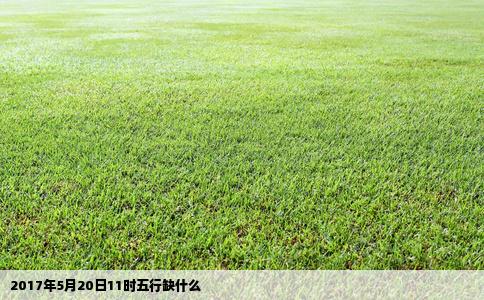 2017年5月20日11时五行缺什么