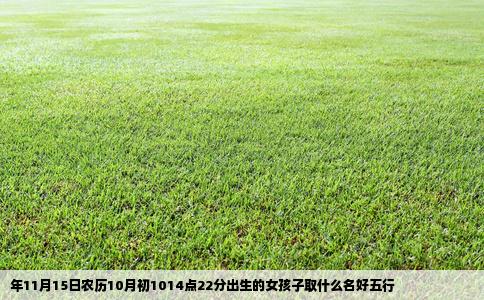年11月15日农历10月初1014点22分出生的女孩子取什么名好五行