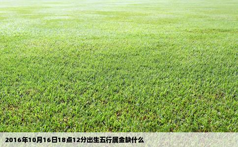 2016年10月16日18点12分出生五行属金缺什么