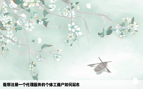 我想注册一个代理服务的个体工商户如何起名