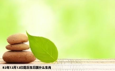 82年12月12曰阳历生日属什么生肖