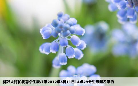 你好大师忙我算个生辰八字2012年5月11日14点29分生想起名字的