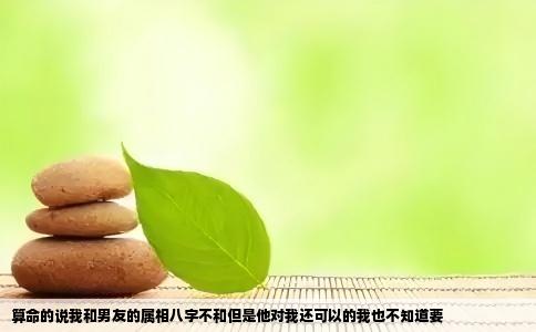算命的说我和男友的属相八字不和但是他对我还可以的我也不知道要