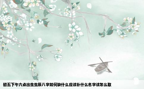 初五下午六点出生生辰八字如何缺什么应该补什么名字该怎么取