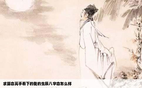 求算命高手看下的我的生辰八字命怎么样