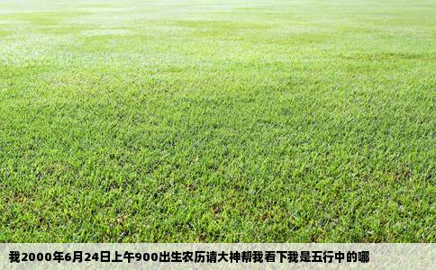 我2000年6月24日上午900出生农历请大神帮我看下我是五行中的哪