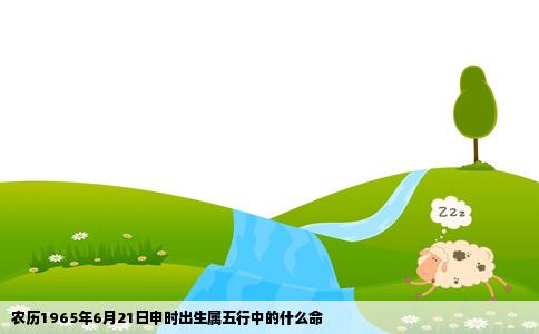 农历1965年6月21日申时出生属五行中的什么命