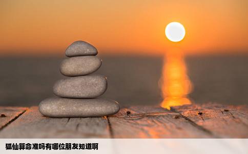 狐仙算命准吗有哪位朋友知道啊