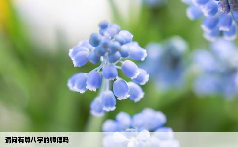 请问有算八字的师傅吗