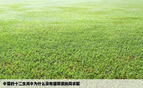 中国的十二生肖中为什么没有猫啊很纳闷求解