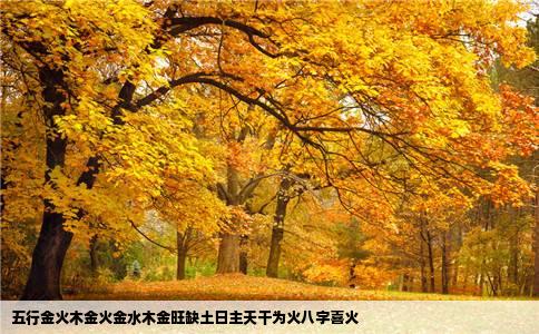五行金火木金火金水木金旺缺土日主天干为火八字喜火