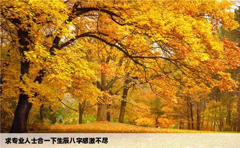 求专业人士合一下生辰八字感激不尽