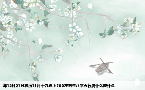年12月21日农历11月十九晚上700左右生八字五行属什么缺什么