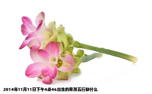 2014年11月11日下午4点46出生的男孩五行缺什么