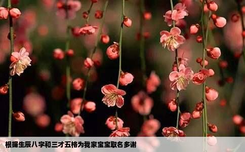 根据生辰八字和三才五格为我家宝宝取名多谢