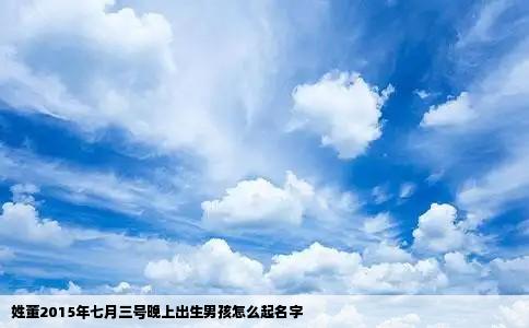 姓董2015年七月三号晚上出生男孩怎么起名字