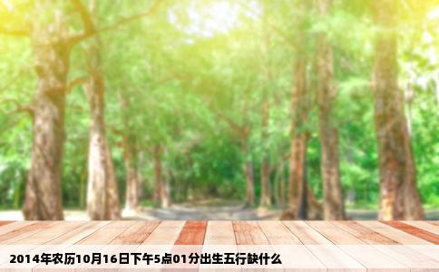 2014年农历10月16日下午5点01分出生五行缺什么