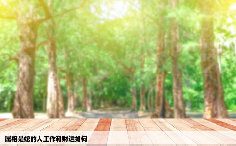 属相是蛇的人工作和财运如何