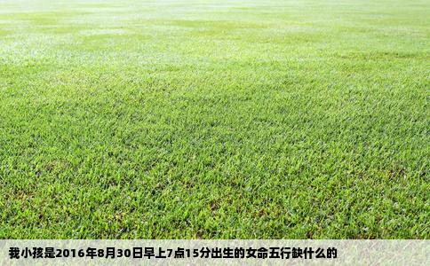 我小孩是2016年8月30日早上7点15分出生的女命五行缺什么的