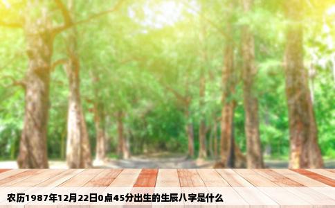 农历1987年12月22日0点45分出生的生辰八字是什么