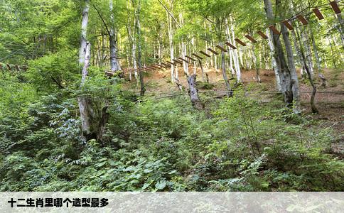 十二生肖里哪个造型最多