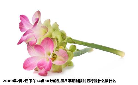 2009年2月2日下午14点30分的生辰八字那时候的五行是什么缺什么