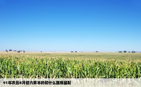 91年农历8月初六男羊的和什么属相最配