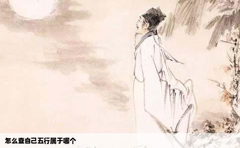 怎么查自己五行属于哪个