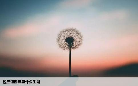 说三道四形容什么生肖