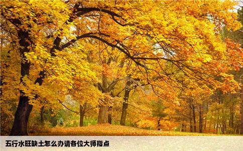 五行水旺缺土怎么办请各位大师指点